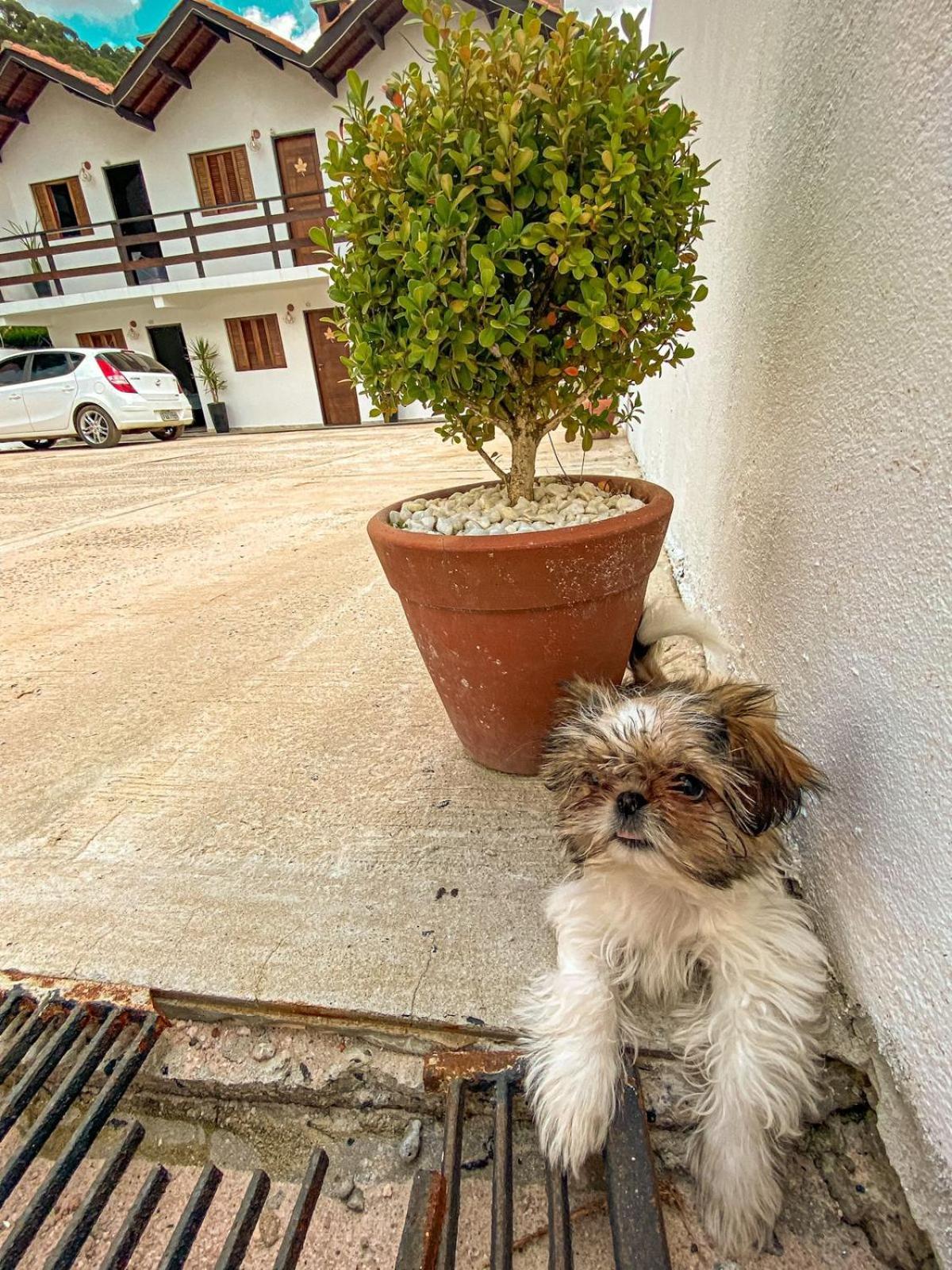Bella Fonte Hotel Monte Verde  Luaran gambar